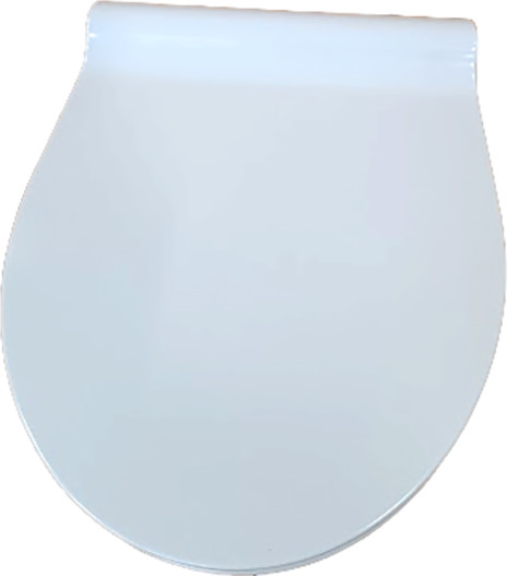 Изображение товара Сиденье для унитаза WeltWasser WW Salzbach 001 XL GL-WT (белый глянец)