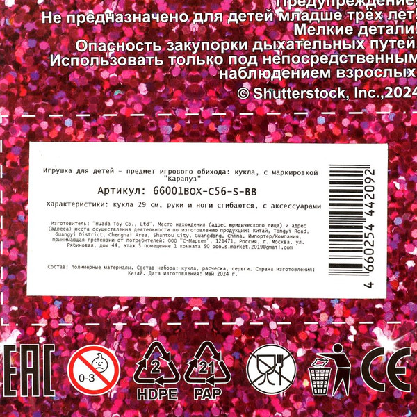 Изображение товара Кукла с аксессуарами Карапуз София / 66001BOX-C56-S-BB
