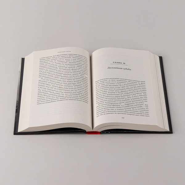 Изображение товара Книга Альпина Обычные люди, твердая обложка (Браунинг Кристофер)