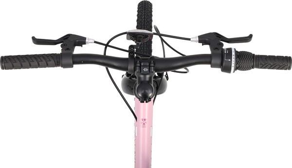 Изображение товара Детский велосипед Maxiscoo 3bike 20 L 2025 / MSC-M3-2004 (розовый матовый, разобранный, в коробке)