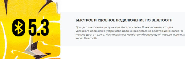 Изображение товара Портативная колонка SoundMax SM-PS5031B (черный)