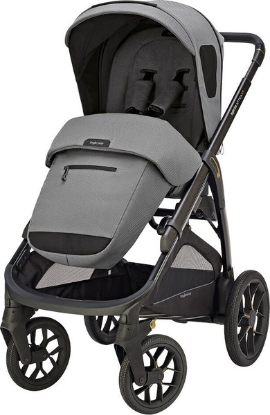 Изображение товара Детская универсальная коляска Inglesina Aptica XT Darwin i-Size 3в1 / KA71S0CNG (Canyon Grey)