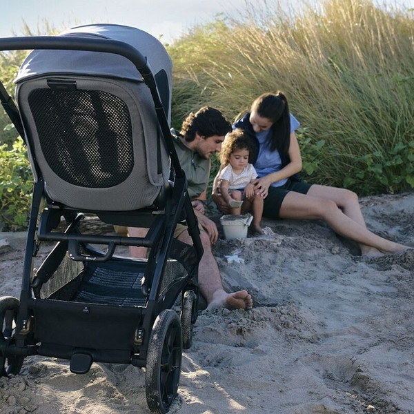 Изображение товара Детская универсальная коляска Inglesina Aptica XT Darwin i-Size 3в1 / KA71S0CNG (Canyon Grey)