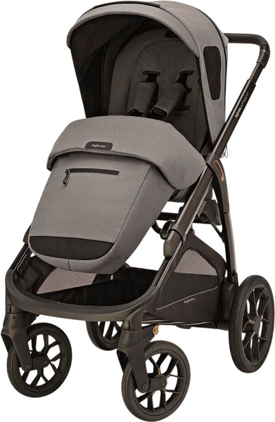 Изображение товара Детская прогулочная коляска Inglesina Aptica XT / AG70S0CNG (Canyon Grey)