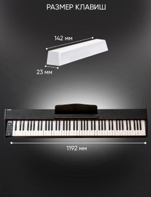 Изображение товара Цифровое фортепиано Aiwa ASZ-88B