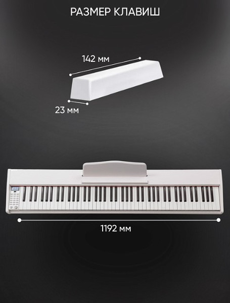 Изображение товара Цифровое фортепиано Aiwa ASZ-88W
