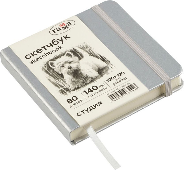 Изображение товара Скетчбук ГАММА Студия / 65S01B780IG (80л, серебряный)
