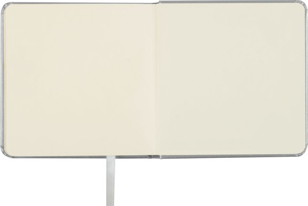 Изображение товара Скетчбук ГАММА Студия / 65S01B780IG (80л, серебряный)