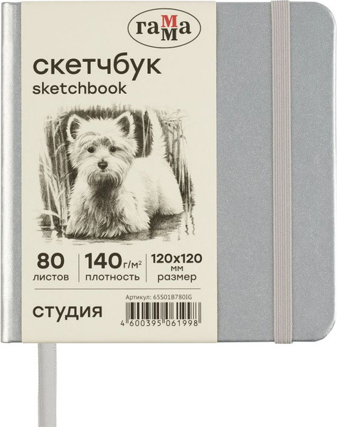 Изображение товара Скетчбук ГАММА Студия / 65S01B780IG (80л, серебряный)