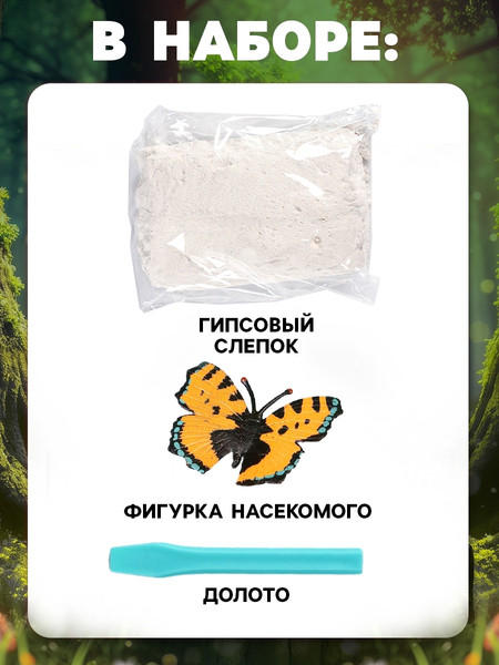 Изображение товара Набор для опытов Школа талантов Набор для раскопок. В поисках букашки WL505 / 10708397