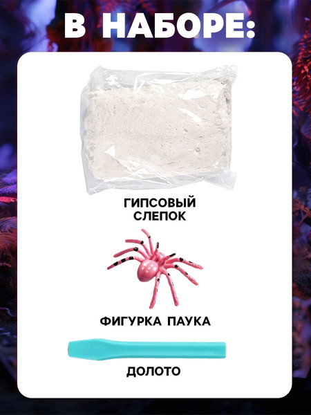 Изображение товара Набор для опытов Школа талантов Набор для раскопок. В поисках паучка WL505 / 10708396