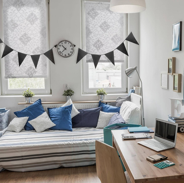 Изображение товара Рулонная штора Delfa Сантайм Глория СРШ-03Д 2910 (180x170, белый/серебристый)