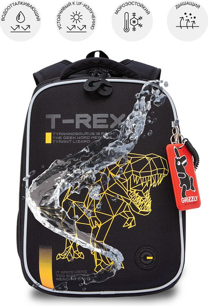 Изображение товара Школьный рюкзак Grizzly RAw-595-1 (черный/оранжевый)