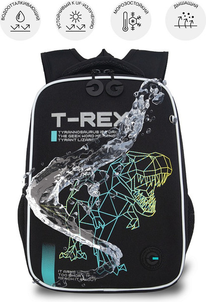 Изображение товара Школьный рюкзак Grizzly RAw-595-1 (черный/бирюзовый)