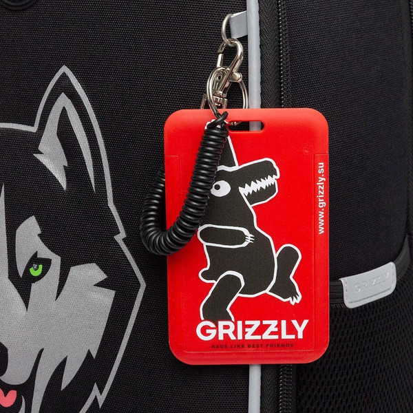 Изображение товара Школьный рюкзак Grizzly RAw-595-10 (черный/серый)