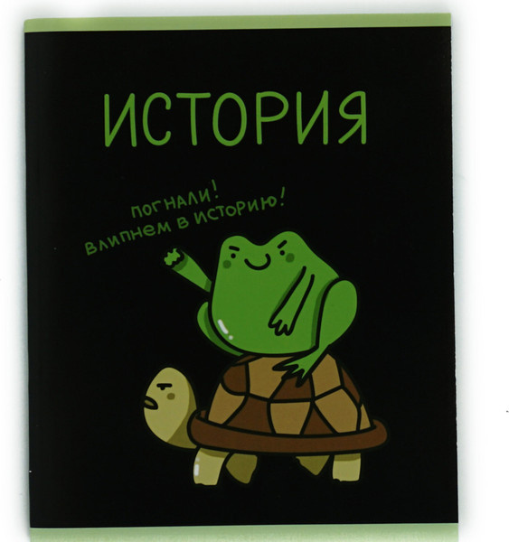 Изображение товара Тетрадь предметная Listoff Жабка. История / ТТ2Л489380