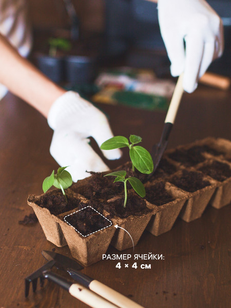 Изображение товара Набор для рассады Экоторф 1306314 (зеленый)