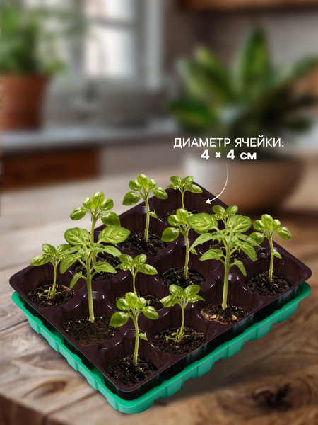 Изображение товара Набор для рассады Экоторф 1306312