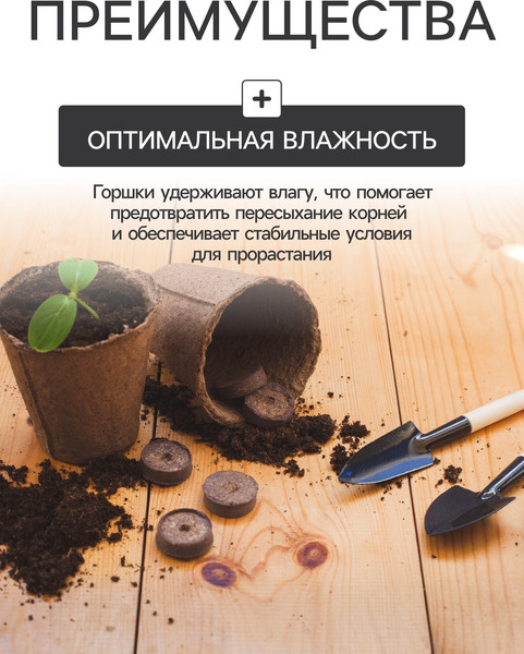 Изображение товара Набор кассет для рассады GREENGO 7129680