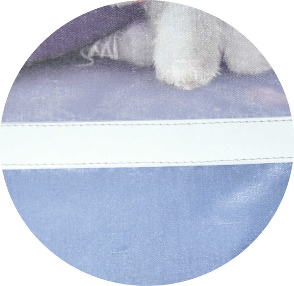 Изображение товара Мешок для обуви Феникс+ Блондинка с собачкой / 69192