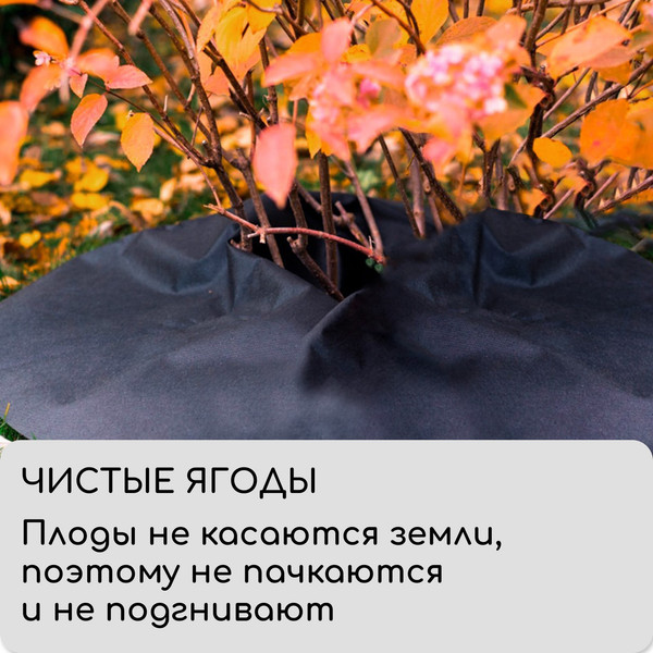 Изображение товара Укрывной материал GREENGO Круг приствольный 1.2м 60г/м2 / 4712444 (2шт, черный)