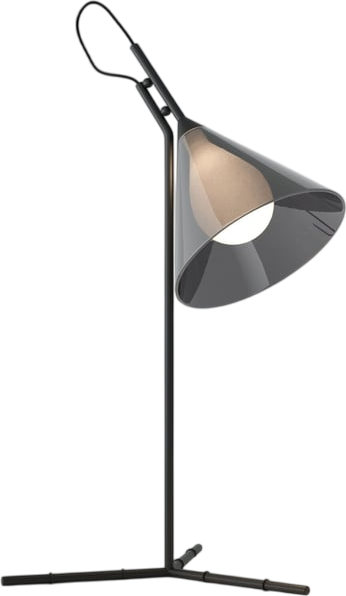 Изображение товара Настольная лампа Евросвет Enigma 01186/1 (черный)