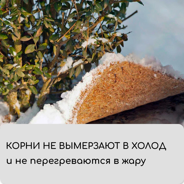 Изображение товара Укрывной материал Мульчаграм Круг приствольный 0.75м / 10683394 (5шт)