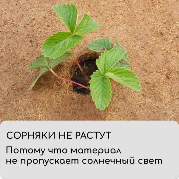 Изображение товара Укрывной материал Мульчаграм Круг приствольный 0.75м / 10683394 (5шт)