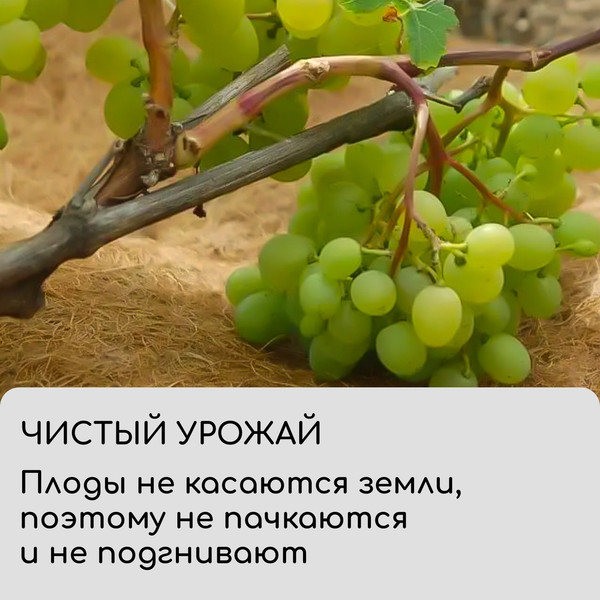 Изображение товара Укрывной материал Мульчаграм Круг приствольный 0.75м / 10683394 (5шт)