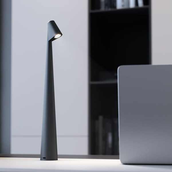 Изображение товара Настольная лампа Elektrostandard Elite TL70250 (черный)