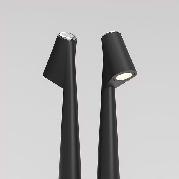 Изображение товара Настольная лампа Elektrostandard Elite TL70250 (черный)