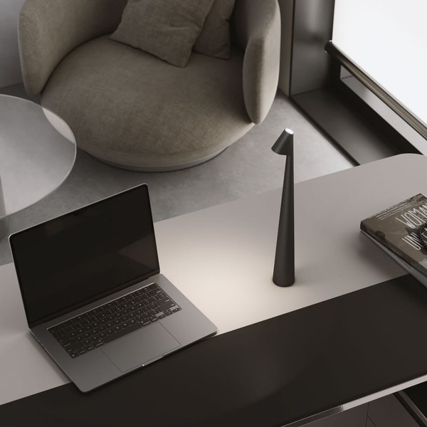 Изображение товара Настольная лампа Elektrostandard Elite TL70250 (черный)