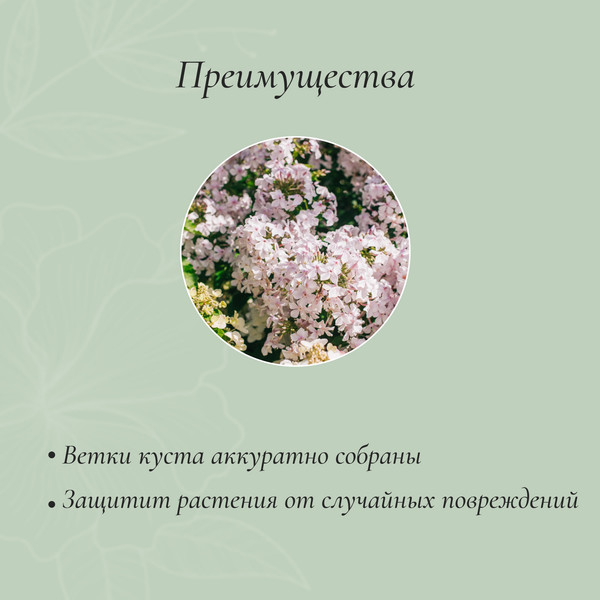 Изображение товара Опора для растений GREENGO Кустодержатель 3671298 (зеленый)