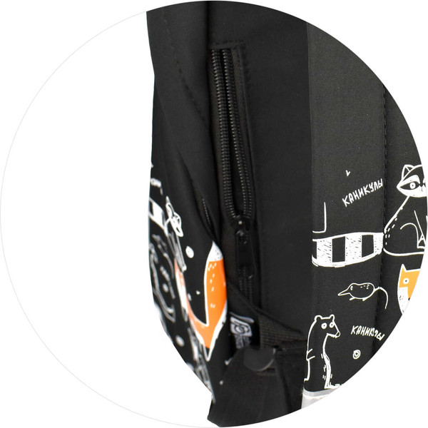 Изображение товара Школьный рюкзак Феникс+ Сдаю хвосты / 68485