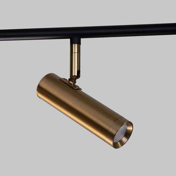 Изображение товара Спот Евросвет Barre 20252/6 LED (черный/латунь)