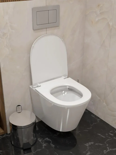 Изображение товара Унитаз подвесной Teymi Solli Pro T40202 (с сиденьем)