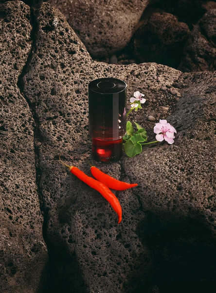 Изображение товара Парфюмерная вода Trussardi Primo (100мл)