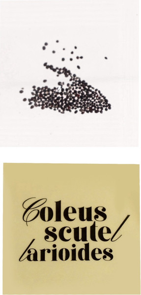 Изображение товара Набор для выращивания растений Эврики Выращиваем травку / 10762664 (розовый)