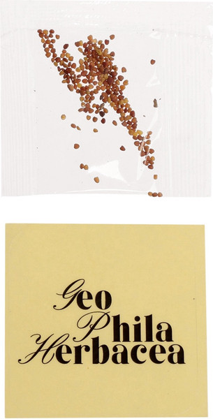 Изображение товара Набор для выращивания растений Эврики Выращиваем травку / 10762665 (зеленый)