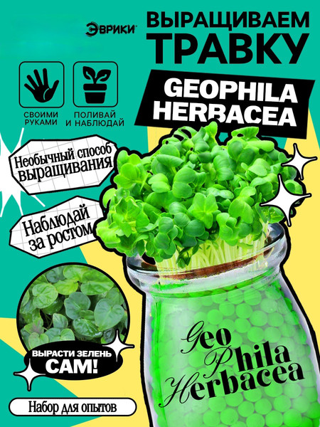 Изображение товара Набор для выращивания растений Эврики Выращиваем травку / 10762665 (зеленый)