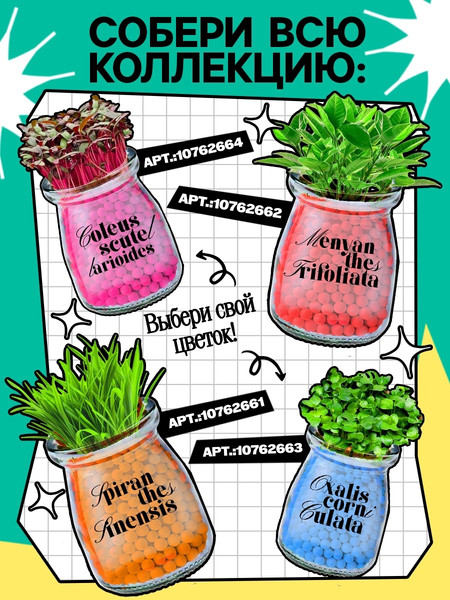 Изображение товара Набор для выращивания растений Эврики Выращиваем травку / 10762665 (зеленый)