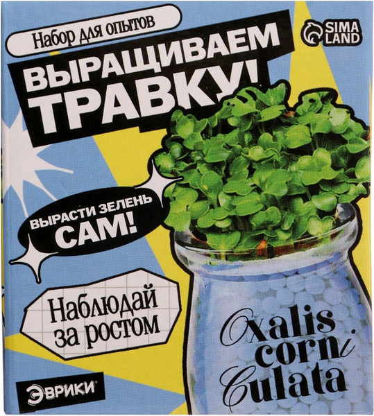 Изображение товара Набор для выращивания растений Эврики Выращиваем травку / 10762663 (голубой)