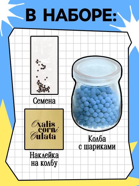 Изображение товара Набор для выращивания растений Эврики Выращиваем травку / 10762663 (голубой)