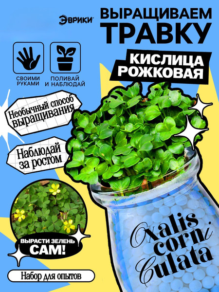 Изображение товара Набор для выращивания растений Эврики Выращиваем травку / 10762663 (голубой)