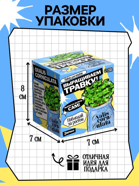 Изображение товара Набор для выращивания растений Эврики Выращиваем травку / 10762663 (голубой)