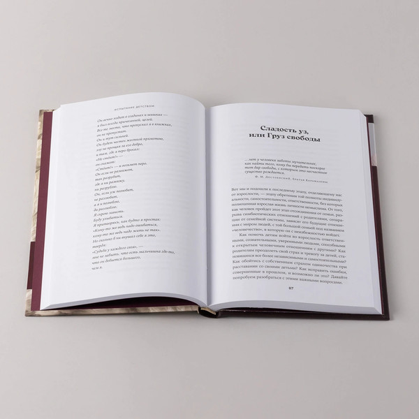 Изображение товара Книга Альпина Испытание детством, твердая обложка (Инина Наталия)