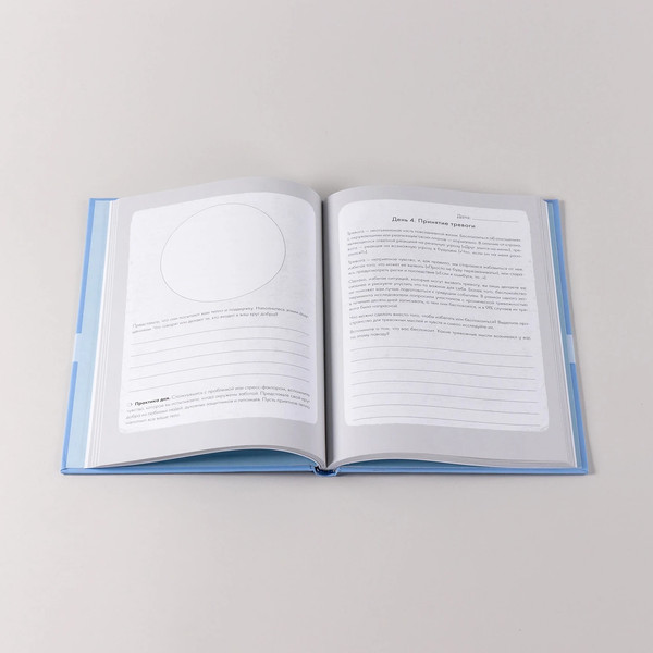 Изображение товара Книга Альпина Отпусти внутреннего критика, твердая обложка (Хилл Дайана)