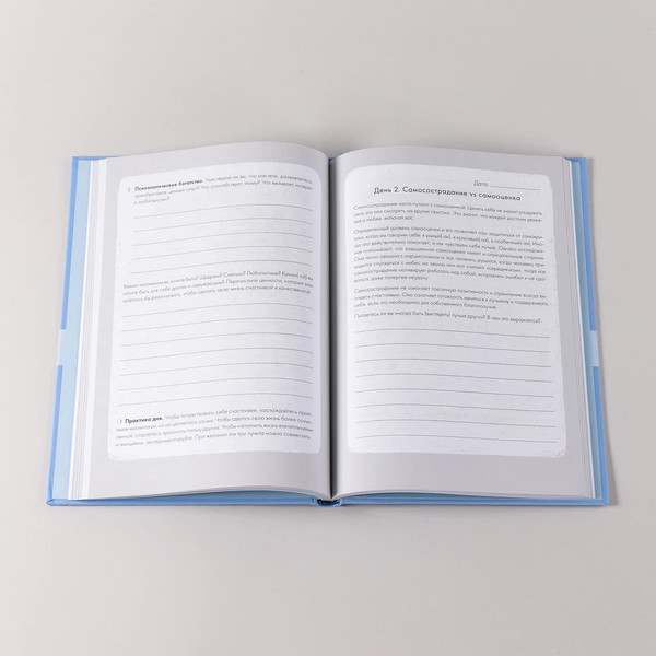 Изображение товара Книга Альпина Отпусти внутреннего критика, твердая обложка (Хилл Дайана)