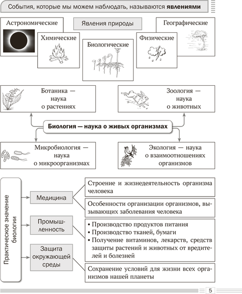 Изображение товара Учебное пособие Аверсэв Биология. 6 класс. Опорные конспекты. 2025, мягкая обложка (Лисов Николай)