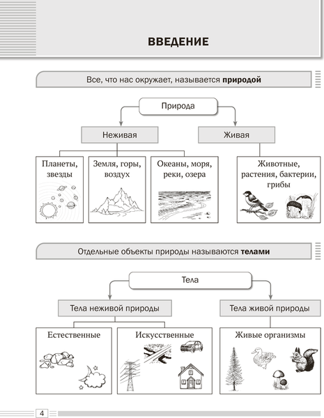 Изображение товара Учебное пособие Аверсэв Биология. 6 класс. Опорные конспекты. 2025, мягкая обложка (Лисов Николай)